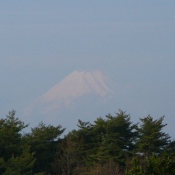 静岡県・中伊豆・富士山