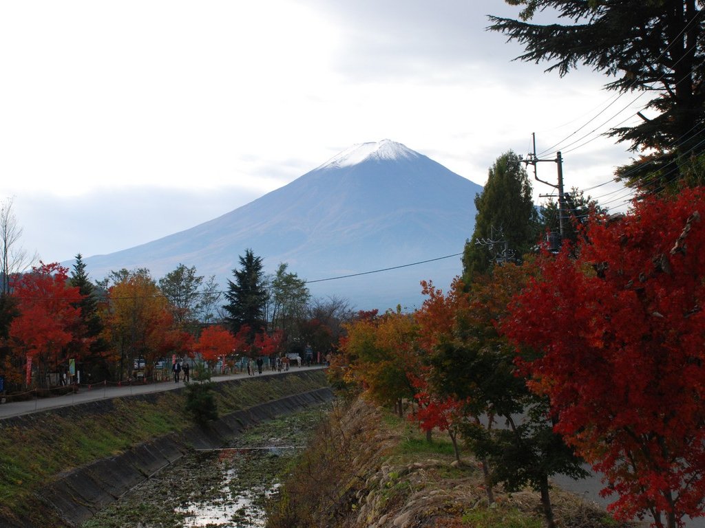 山梨県・富士山（河口湖） - 山・川 - 無料写真素材 - あみラボ