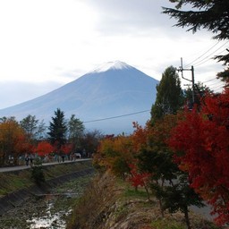山梨県・富士山（河口湖）