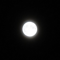 越谷市・夜の月