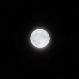 越谷市・夜の月