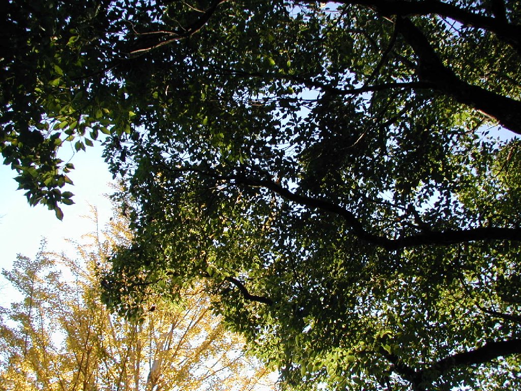 岡山県倉敷市・チボリ公園 - 風景（西日本） - 無料写真素材 - あみラボ
