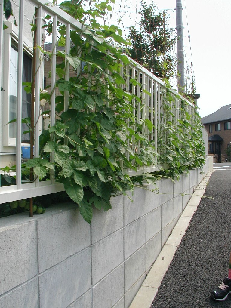 愛知県岡崎市・森 - 風景（西日本） - 無料写真素材 - あみラボ
