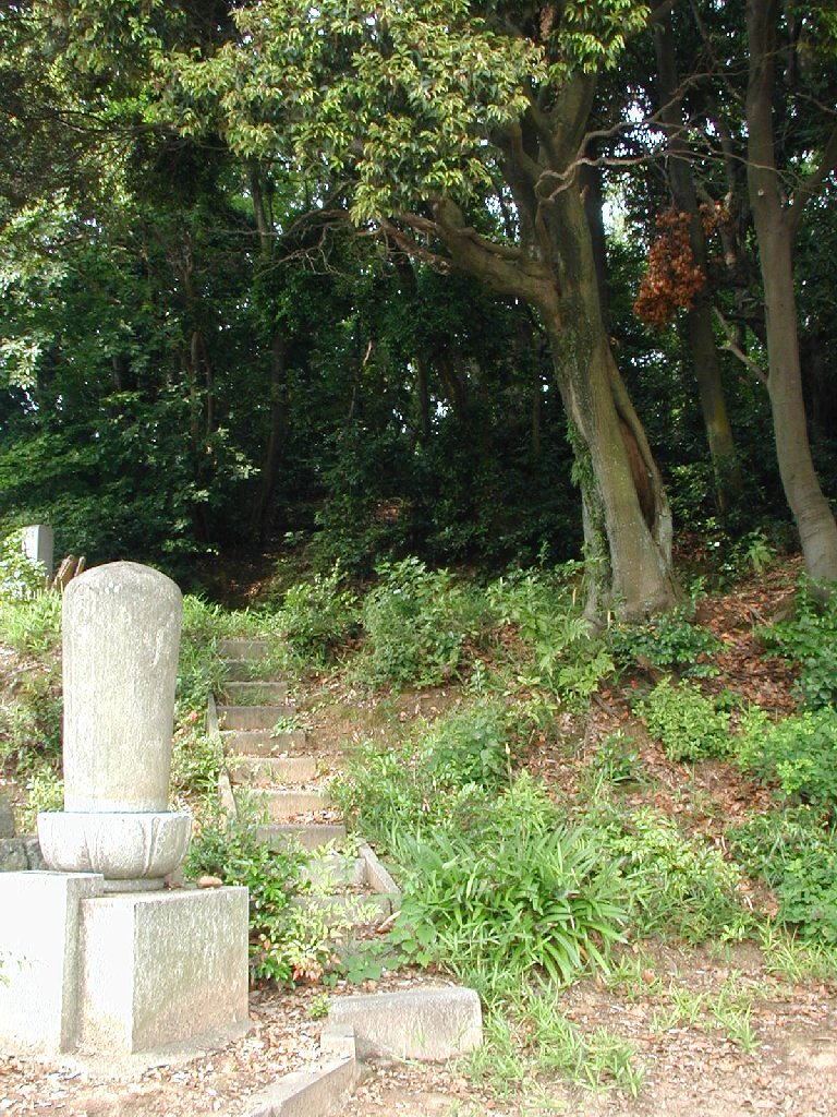 愛知県岡崎市・森 - 風景（西日本） - 無料写真素材 - あみラボ