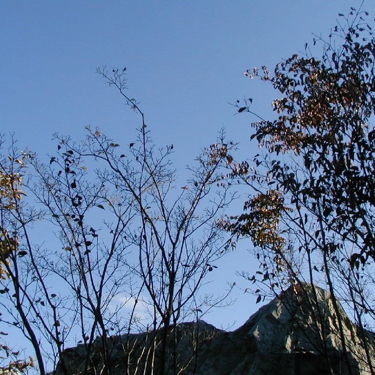 岡山県倉敷市・チボリ公園 - 風景（西日本） - 無料写真素材 - あみラボ