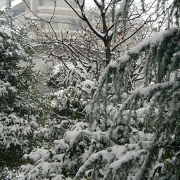 越谷市・雪景色