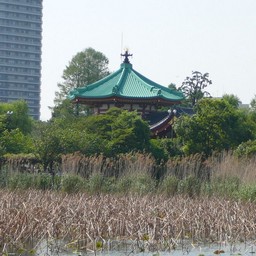 上野公園・不忍池・弁天堂