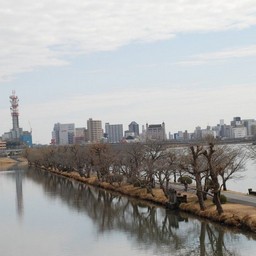 茨城県・千波湖