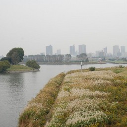 東京都赤羽・荒川沿い