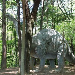 東松山市・動物自然公園