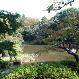 東京都・旧古河庭園