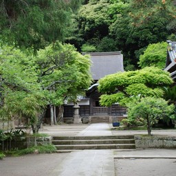 鎌倉市・円覚寺