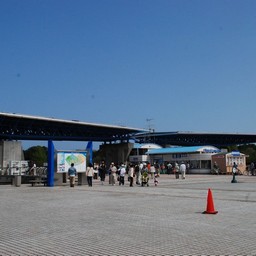 茨城県・ひたち海浜公園