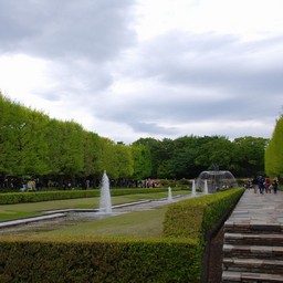 立川市・昭和記念公園
