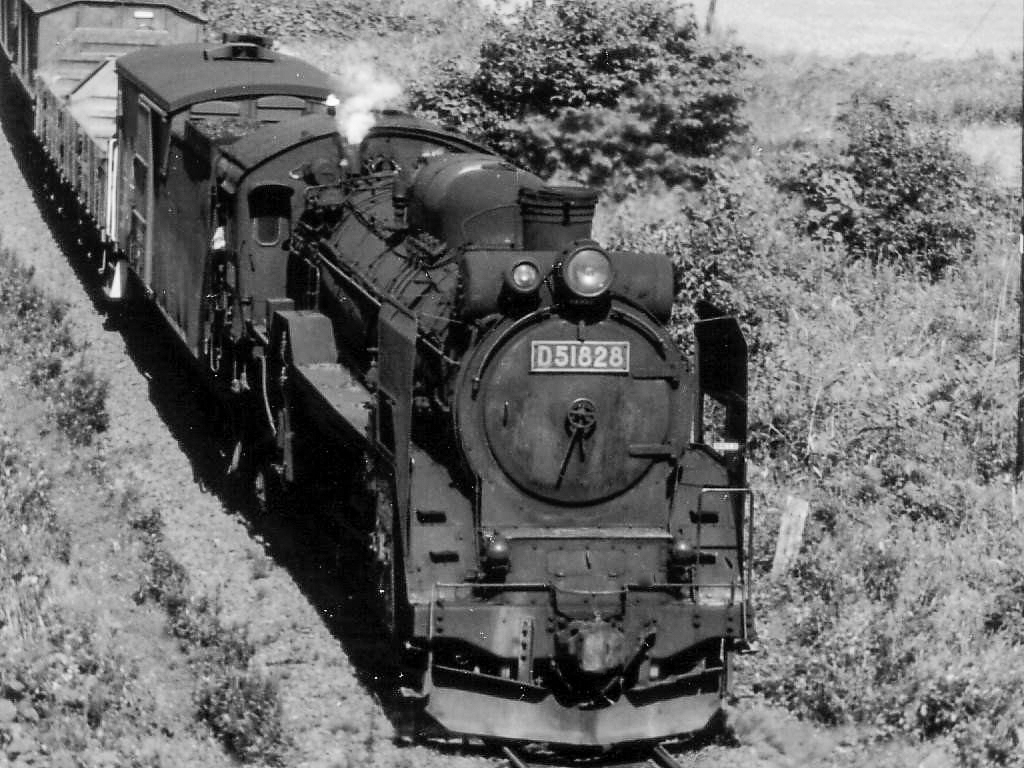 北海道・室蘭線・追分・D51 828 - 蒸気機関車（SL） - 無料写真素材 - あみラボ