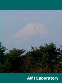 中伊豆(富士山)